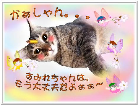 嵐.JPG