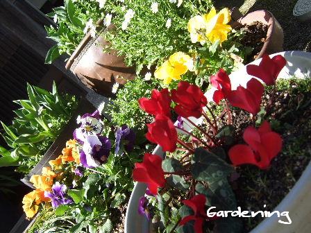 Gardening.JPG