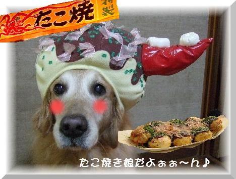 たこ焼き娘.JPG