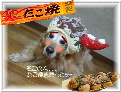 たこ焼き娘1.JPG