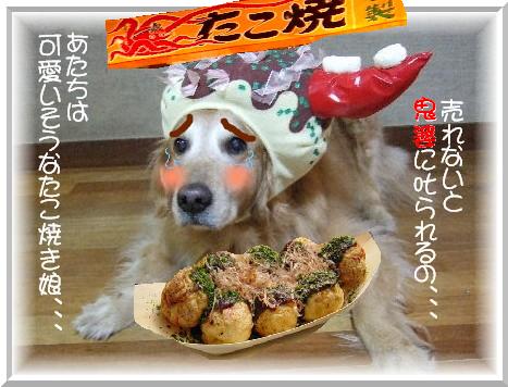たこ焼き娘2.JPG