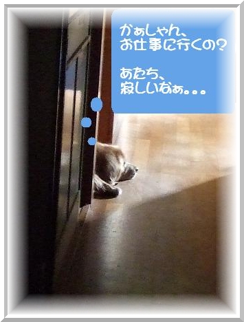 寂しいの.JPG