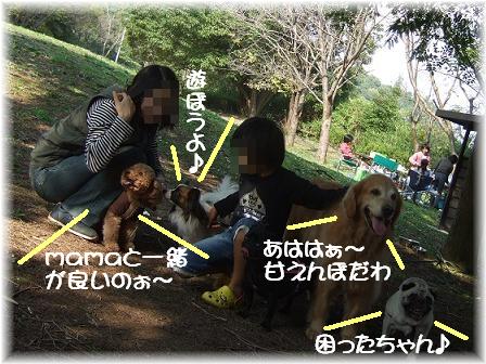 甘えんぼ.JPG