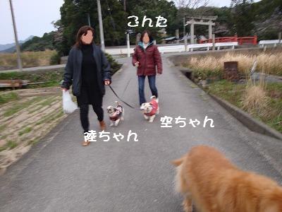 お散歩.JPG