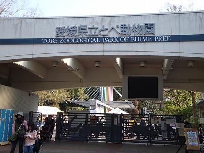 とべ動物園.JPG