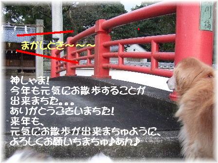 1お参り.JPG