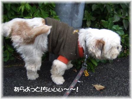 あらよっと.JPG