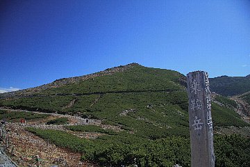 IMG_3388.jpg