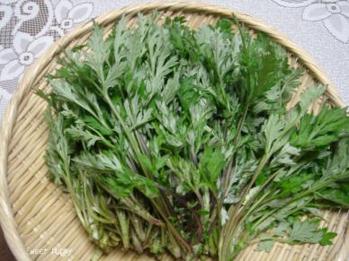http://image.space.rakuten.co.jp/lg01/86/0000872486/04/img1400f4e4zikbzj.jpeg