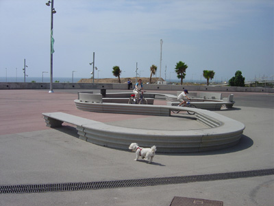 DSC00186.JPG