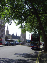 DSC00093_1.JPG