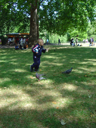 DSC00133.JPG