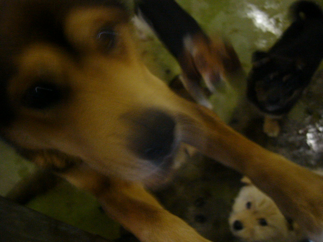 P1080037.JPG