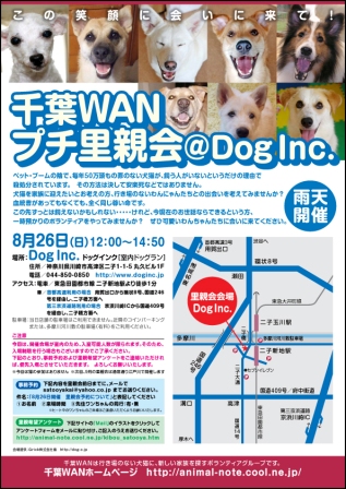 @doginc_poster.jpg