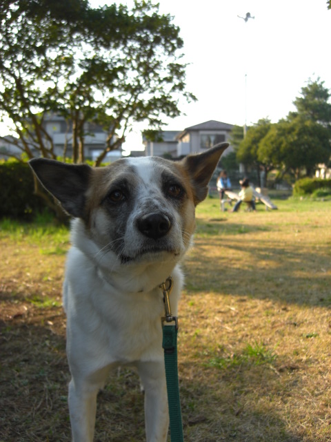 CIMG0813.JPG