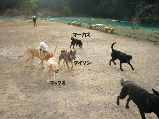 楽しいね.jpg