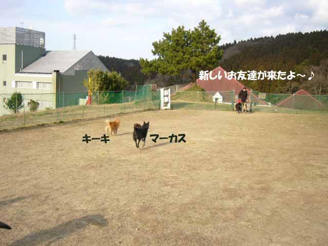 お友達.jpg