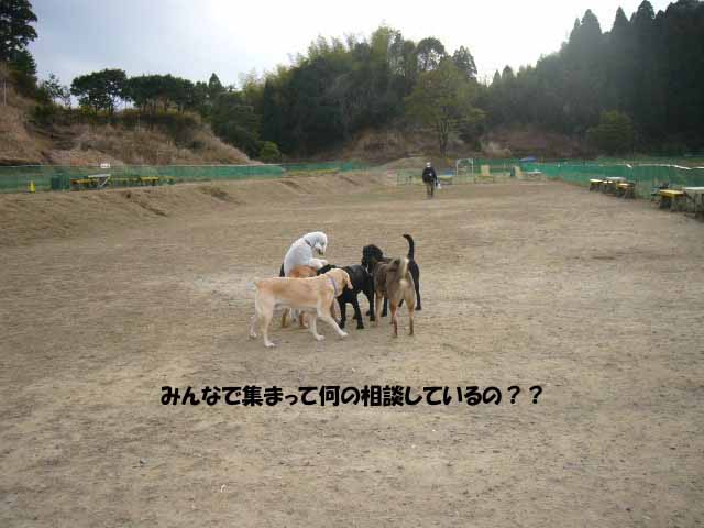 相談?.jpg