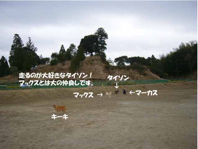 仲良し.jpg
