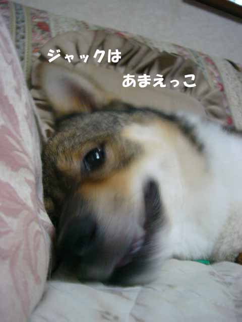 P1040552.jpg