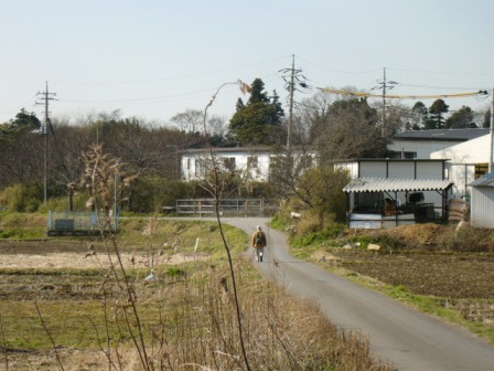 P1090017.JPG