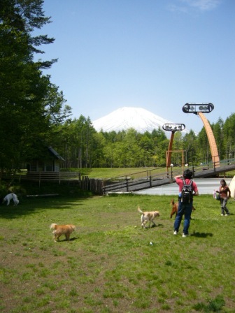 P1100430.JPG