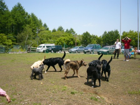 P1100443.JPG