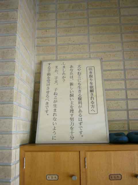 P1070371.jpg