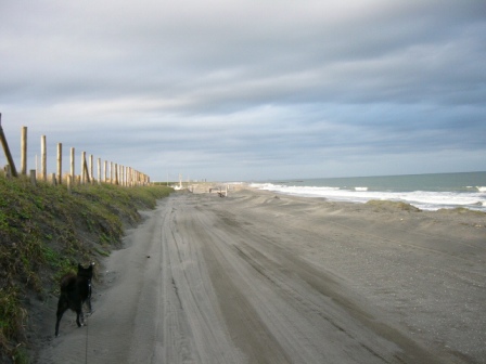 P1120154.JPG