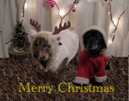 Merry Chrismas.jpg