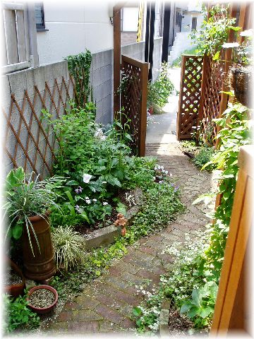 日陰をいかす庭づくり 西日と日陰の庭から Annme S Garden Life 楽天ブログ