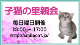 子猫の里親会バナー