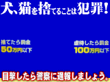 うちの子バージョン