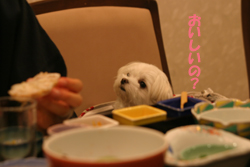 12-16カニ2.jpg