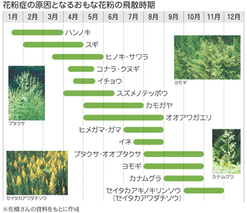 秋の花粉症.jpg