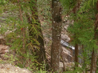 深谷の第二の滝