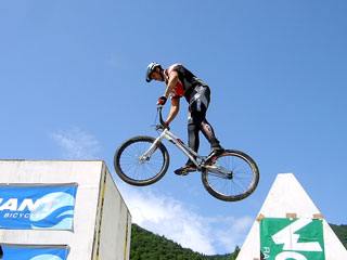 p1.jpg
