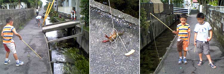 近所の水路で友達とザリガニ釣り 20070829