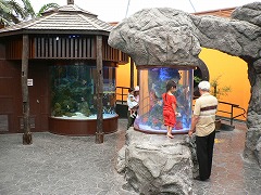 水族館入り口