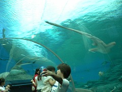 海底トンネル