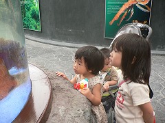 水族館 その1