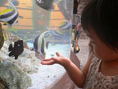 水族館 その3