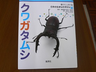 食事中の愛読書 1