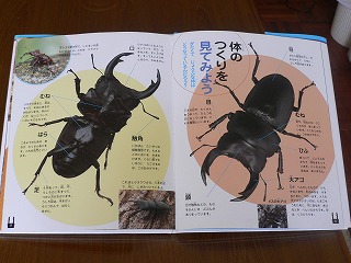 食事中の愛読書 2