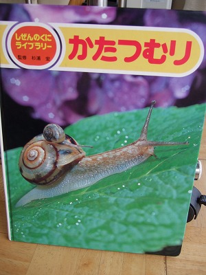 最新の愛読書