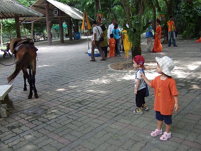 DSCF0741.jpg