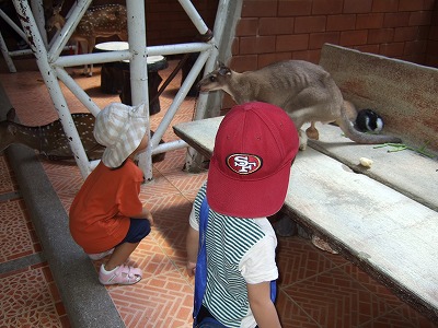 DSCF0743.jpg