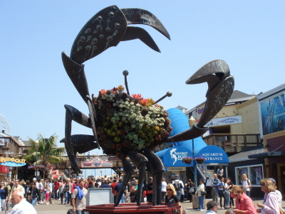 24 fishermans wharf.jpg