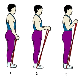 reverse-arm-curl.JPG