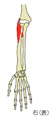 MB2-T03-011.jpg